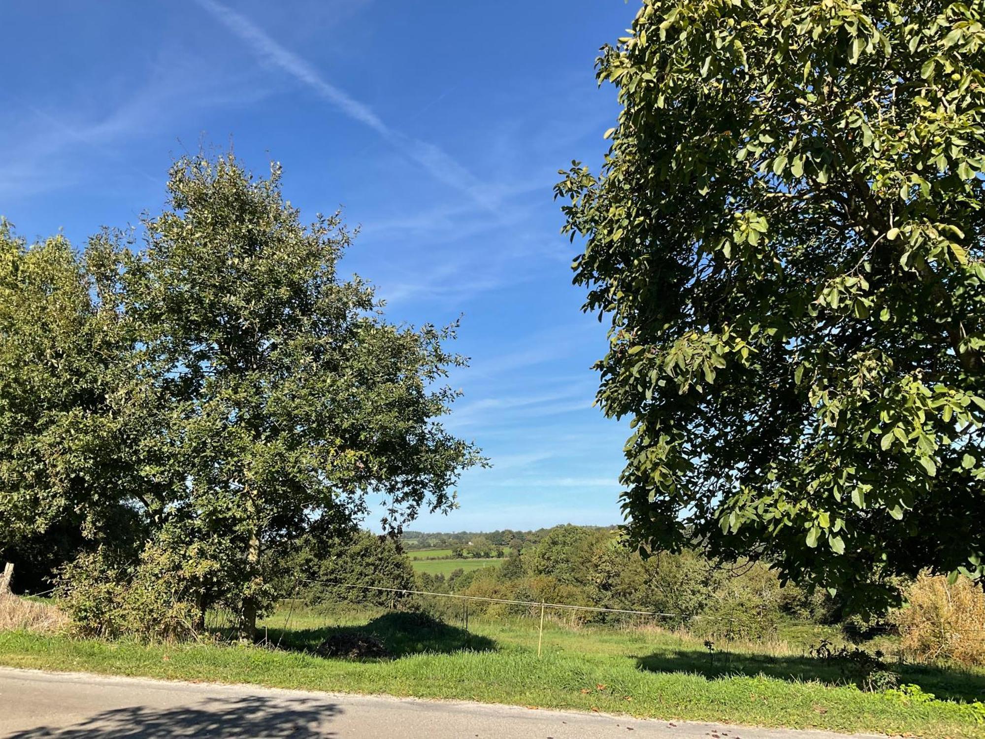 Saint-Pierre-du-CheminLa Brionniere住宿加早餐旅馆 外观 照片